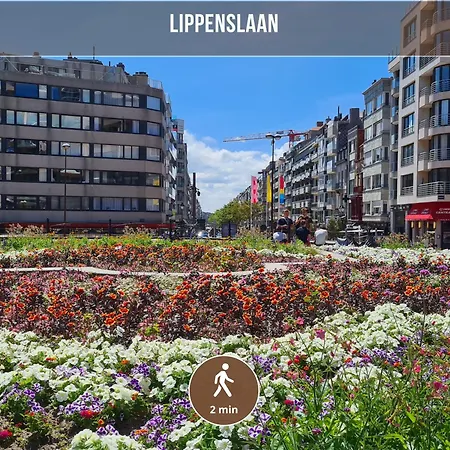 La Purete - A Pied - Ideal Couples - 2min Lippenslaan - A 10min A Pied - Buanderie Apartment
